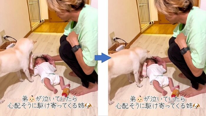 「靴下いる?」 息子さんが泣いたら来てくれるそう