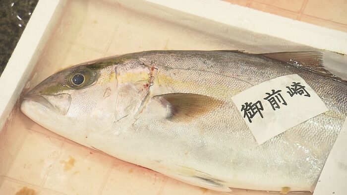 カンパチ