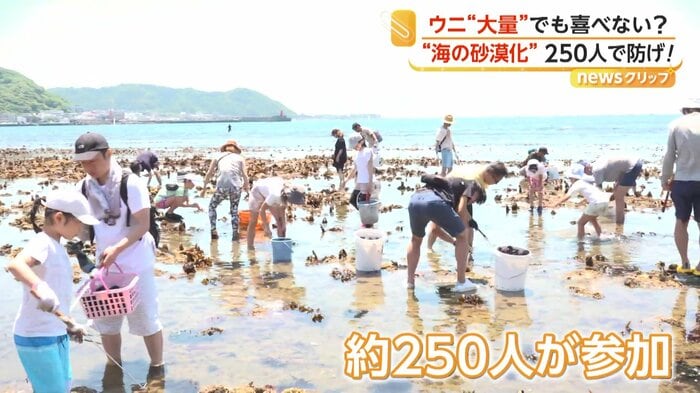 ウニを取り除くために集まった約250人