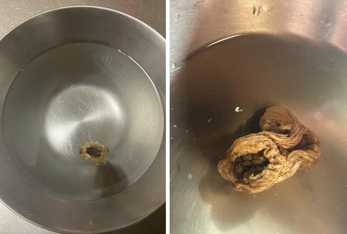 左は水に入れてすぐの様子、右は9時間が経過したところ