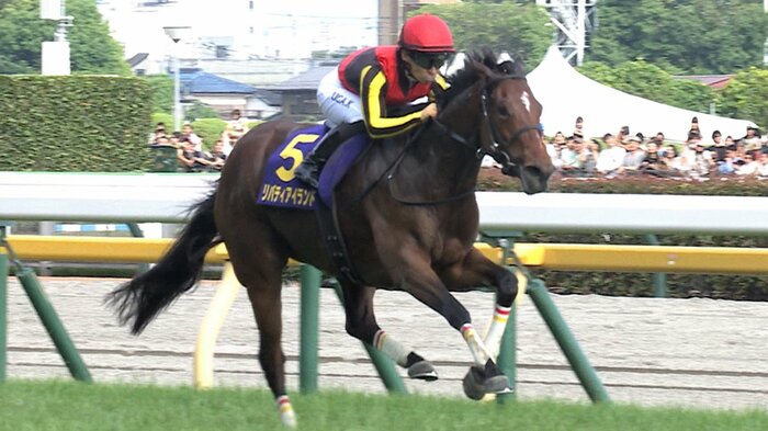 2023年 オークスを制したリバティアイランド