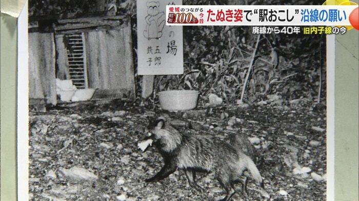 2匹のタヌキは人気者に