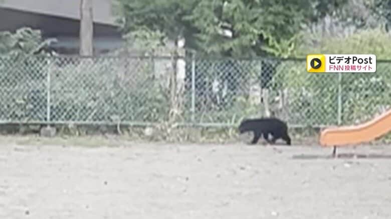 保育園に子グマ“居座り”園庭を走る姿がカメラに…園内にいた園児1人と職員は無事　岩手・奥州市｜FNNプライムオンライン