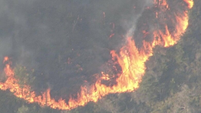 「山火事が最近多いな…」岡山市と愛媛・今治市で山林火災　一部住民に避難指示も　一夜明けても延焼続く｜FNNプライムオンライン