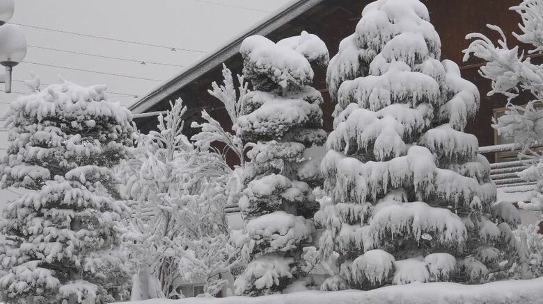 白馬村で積雪5センチ　長野県北部で雪　予想最高気温は長野、松本で4℃…前日より10℃低く寒い1日に｜FNNプライムオンライン