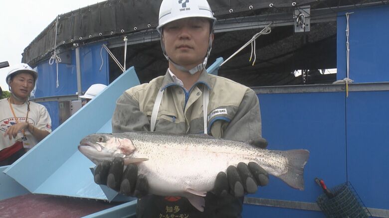 東邦ガスが新規事業で魚の養殖『知多クールサーモン』　天然ガスを気化する際に出る冷たい海水を利用｜FNNプライムオンライン