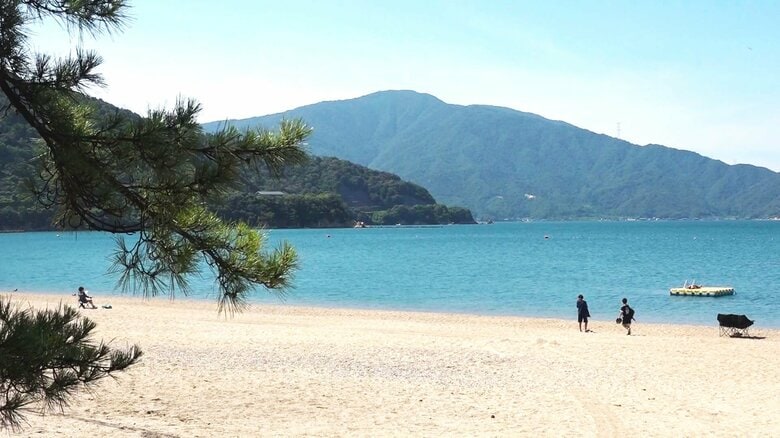 海水浴客が8分の1に激減 3500万円の運営費に収入500万円 敦賀「気比の松原」海水浴場が存続の危機|FNNプライムオンライン
