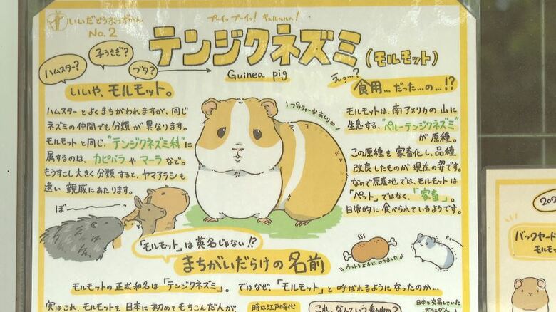 「詐欺かと思った」出版社から突然の連絡…動物園の飼育員（25）が描く「どうぶつ図鑑」2026年秋に出版へ　SNSで2万「いいね」　イラストで動物の魅力や面白さ伝える「動物への世界を広げたい」｜FNNプライムオンライン