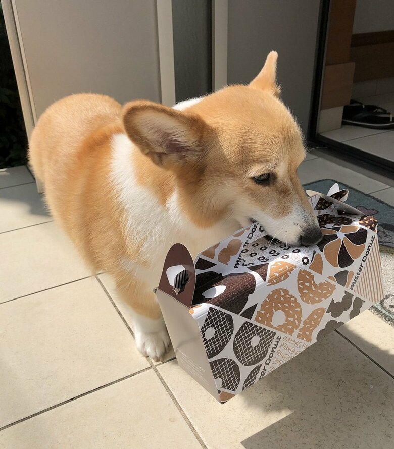 運んでお手伝いしてくれる