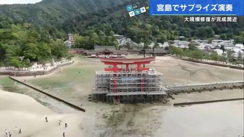 修復工事中の厳島神社・大鳥居