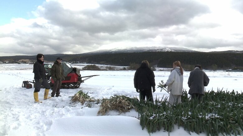 秋田・にかほ市の農業法人「権右衛門」が企画した大学生向けの農業体験（2026年1月）
