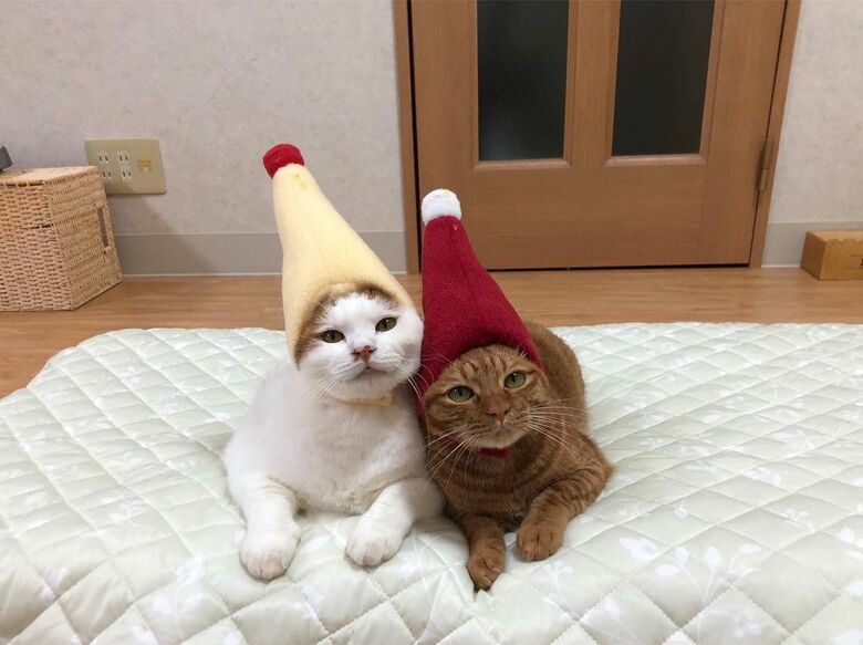 マヨネーズとケチャップ