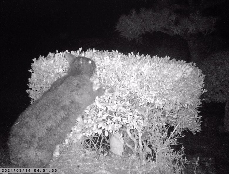 画像提供　森と海の藝術楽校