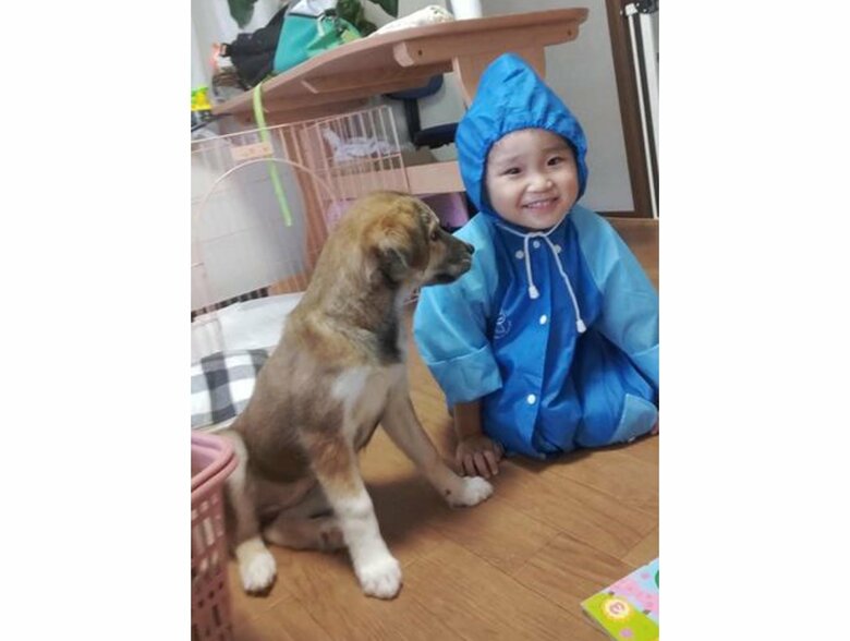 左：こつぶちゃん　右：ふみかちゃん（提供：kurumi-chiharuさん）