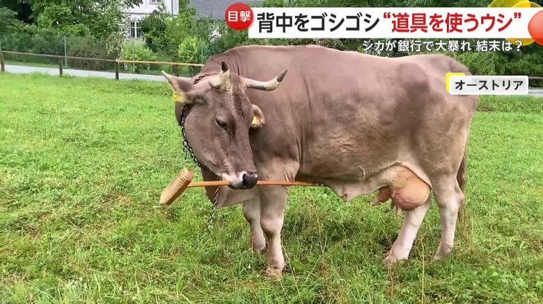 柄の部分で胸のあたりも優しくマッサージするようなしぐさも見せた