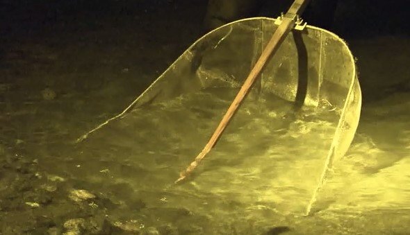 天竜川河口の漁