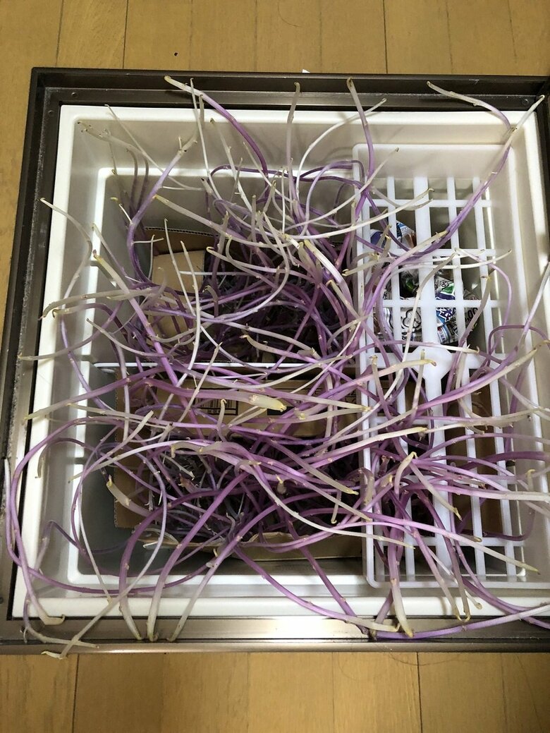 上から撮影した様子（提供：おこめさん）