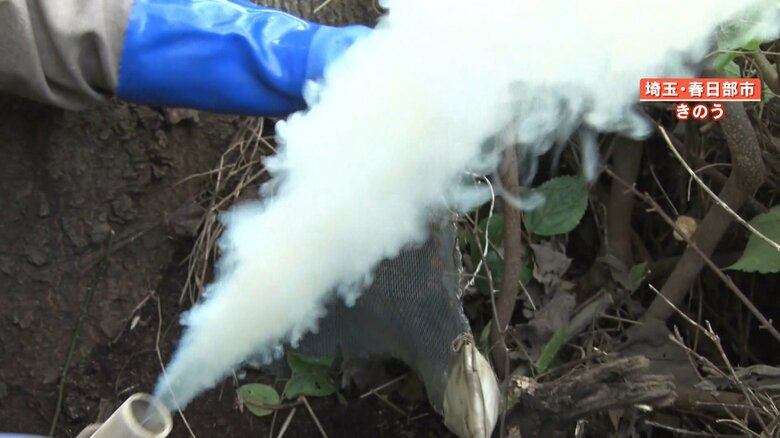 発煙筒から勢いよく吹き出す煙