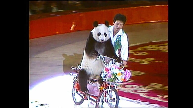 ステージ上でオートバイに乗るチャオチャオ