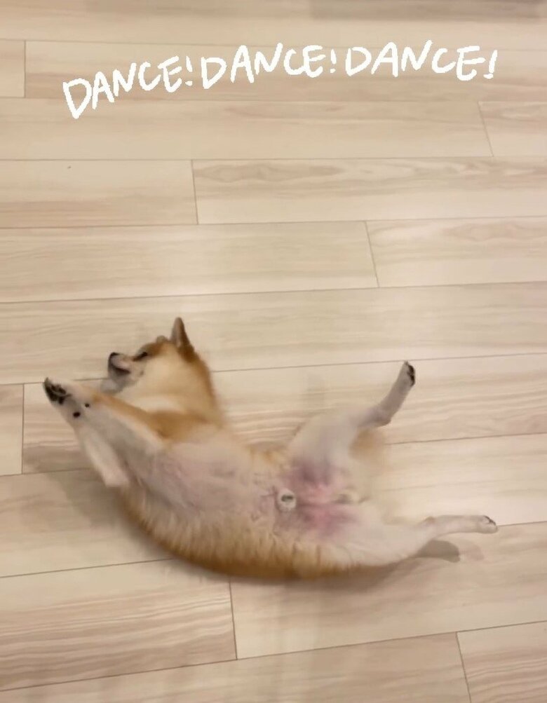 横になっても「お願い」をすることも