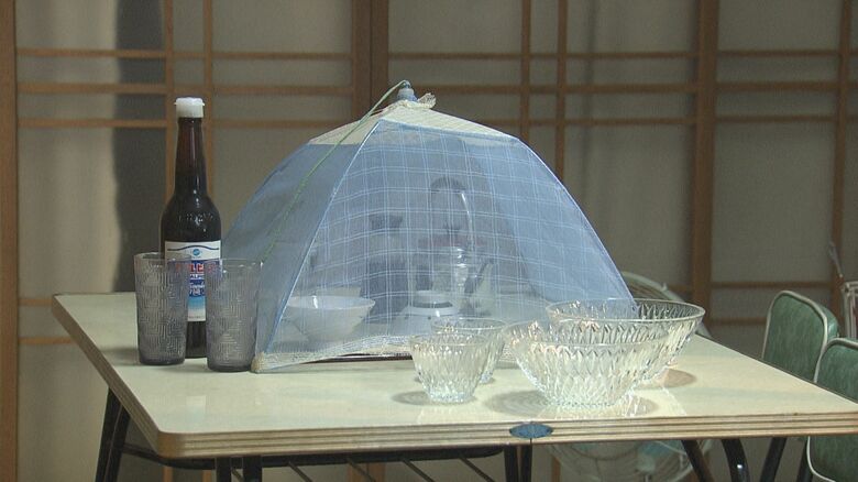 食べ物から蚊をよける蝿帳