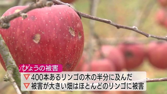 これほどの被害は経験がない