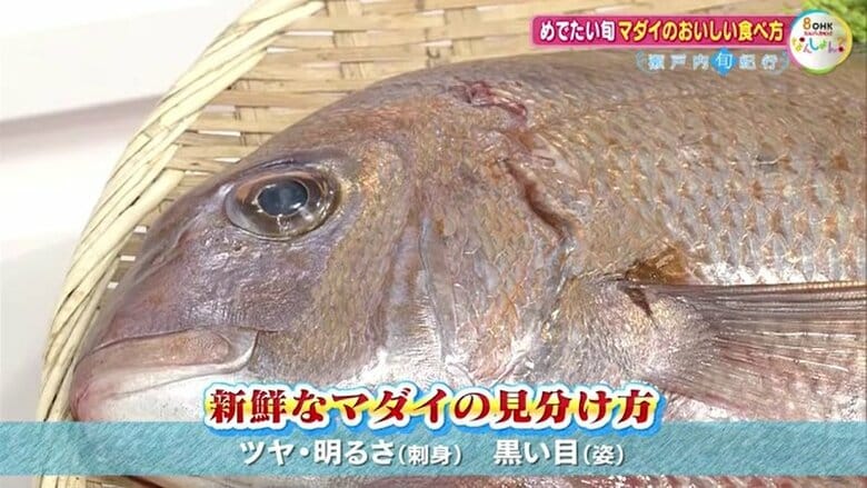 新鮮なマダイの見分け方