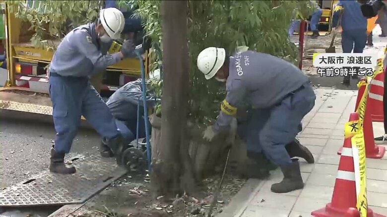 大人4人がかりで、70kgの鉢植えを台車に乗せていく