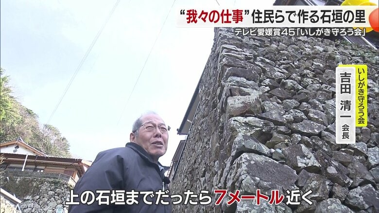 高さ７メートルの石垣を見上げる「いしがき守ろう会」の吉田清一会長