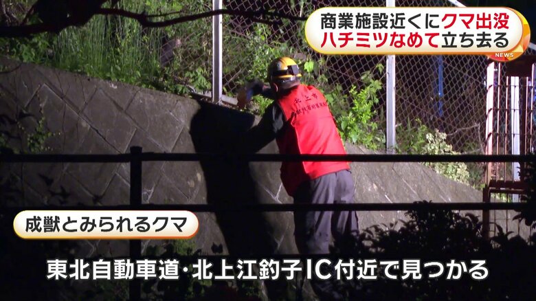 蜂蜜を塗りつける市の関係者