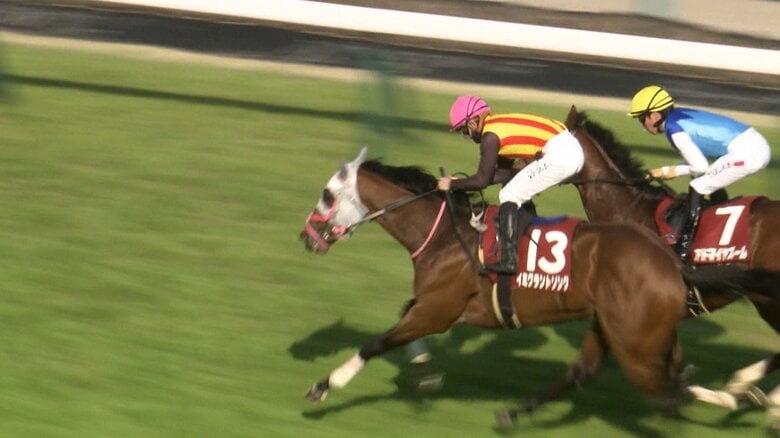 ニュージーランドTを制したイミグラントソング