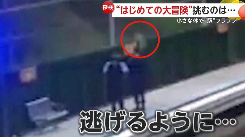 逃げるようにしてホームから脱出したコアラ