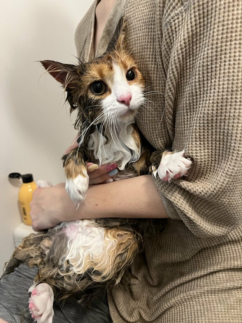 音がこもり大きい、狭い場所で周囲を見渡せないといった不安があるのかも？