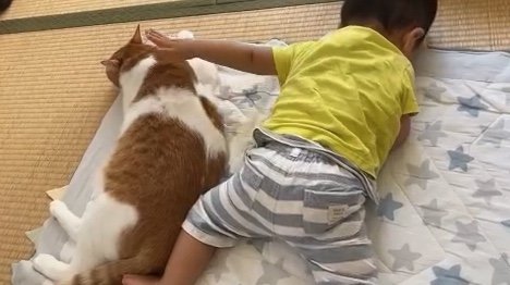 提供：Hassakuさん