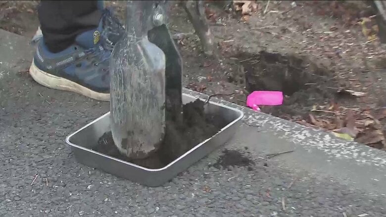 都内の調査対象14店舗のうち、9店舗で除草剤成分を検出