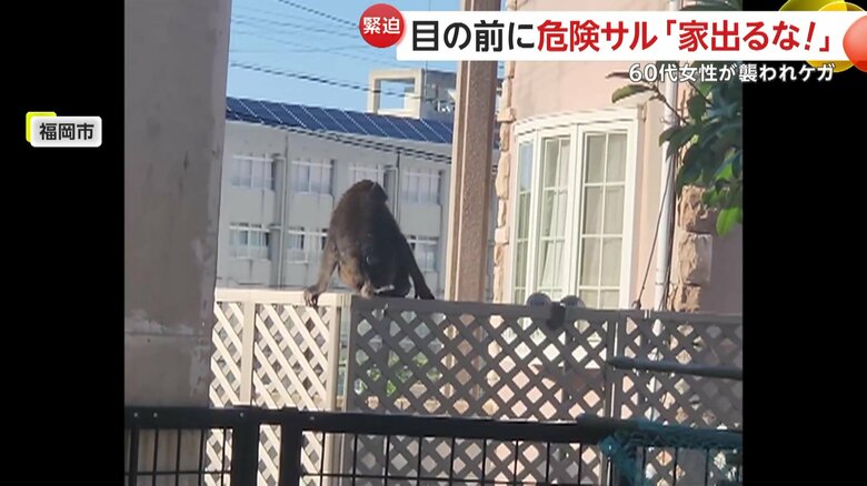 家族が襲われる可能性もあったという