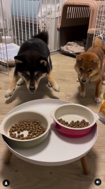 提供：まめふく&ゆめくりさん