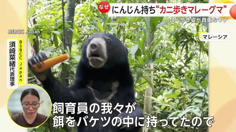 「ほかに何がある？っていった感じでのぞきに来た」と話す須崎菜緒さん