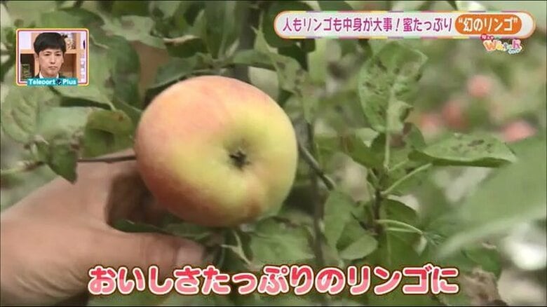 「サン蜜こうとく」は蜜がたっぷり