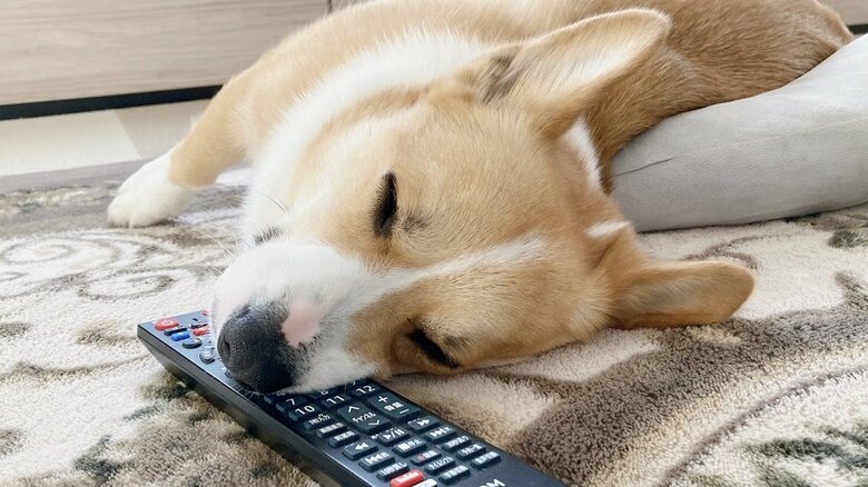 ぐっすり