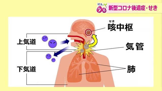 せきが出る仕組み