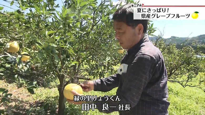 100年以上続く果樹園「緑の里りょうくん」の田中良一社長