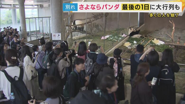 アドベンチャーワールドでの公開最終日には多くのファン