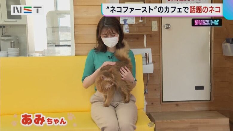 人懐っこい あみちゃん