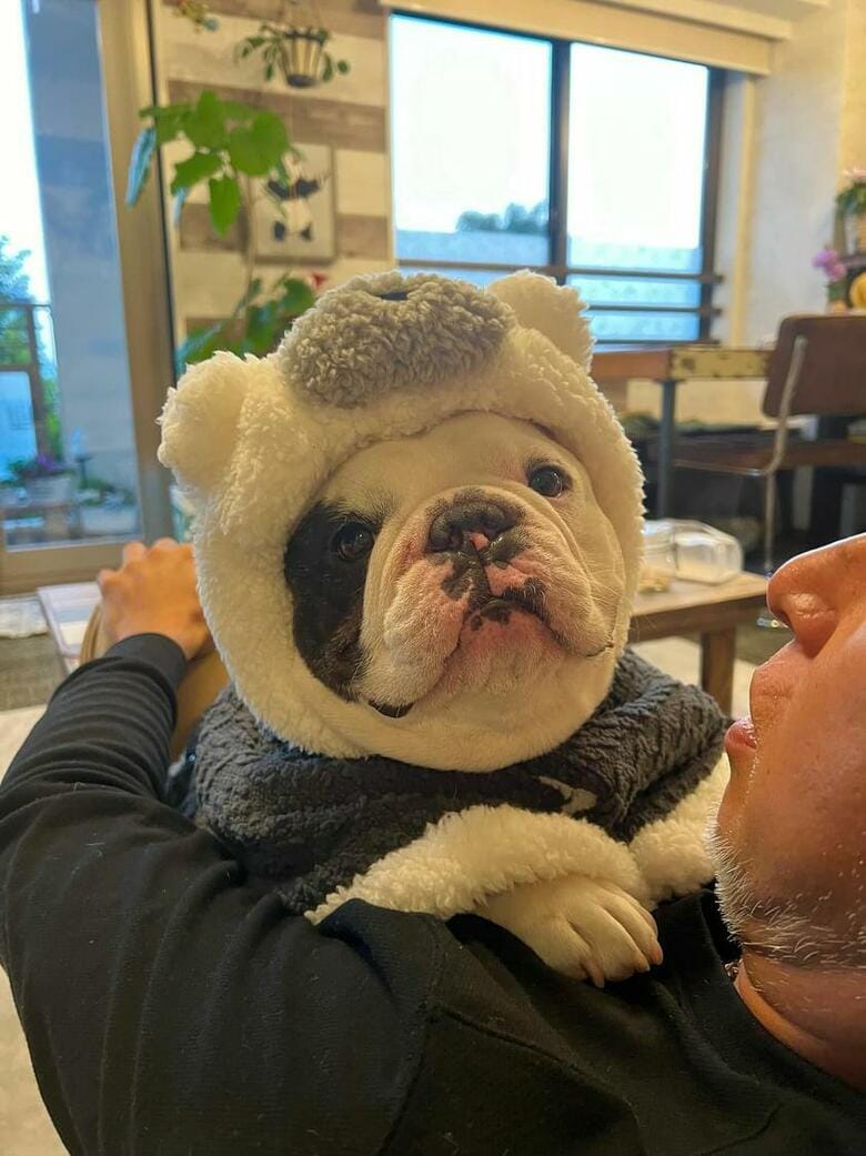 提供：こぶしさん