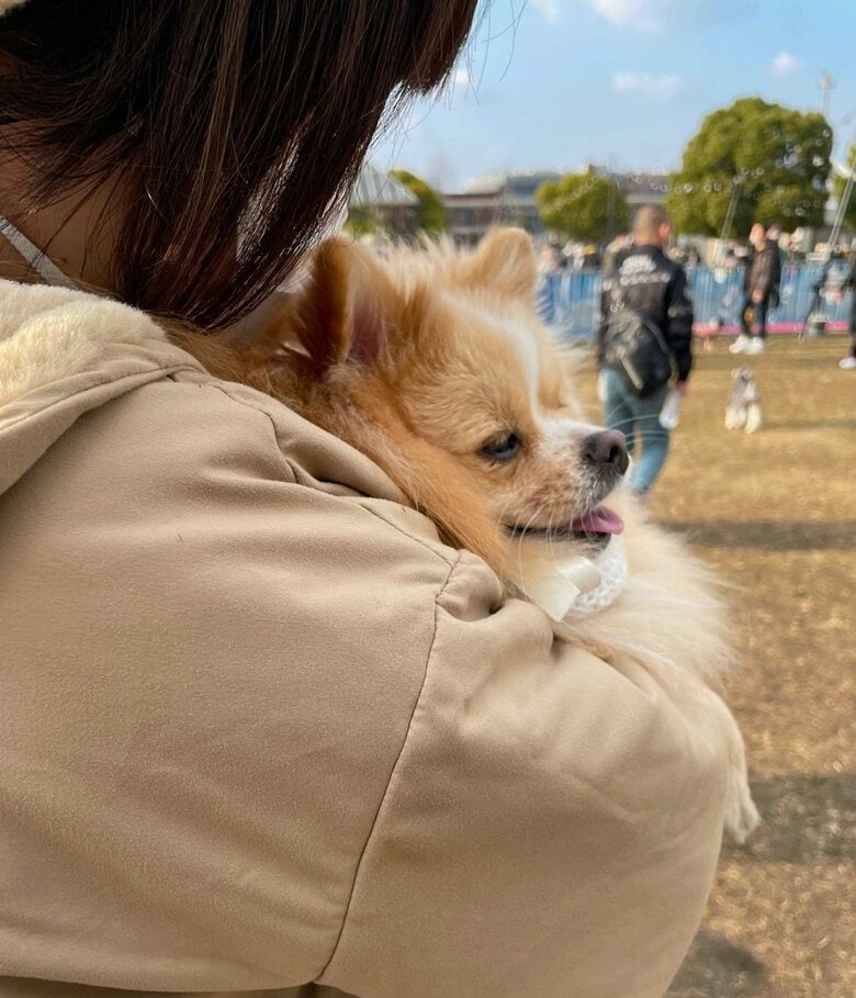 飼い主さんに抱っこされて満足気