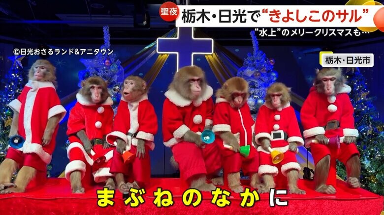 日光さる軍団が「きよしこの夜」を演奏する様子