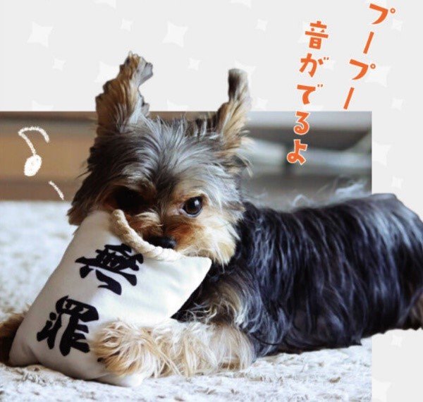 プープー音がでるよ（提供：バンダイ）