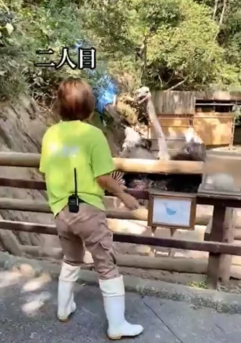 2人目は女性飼育員の挑戦