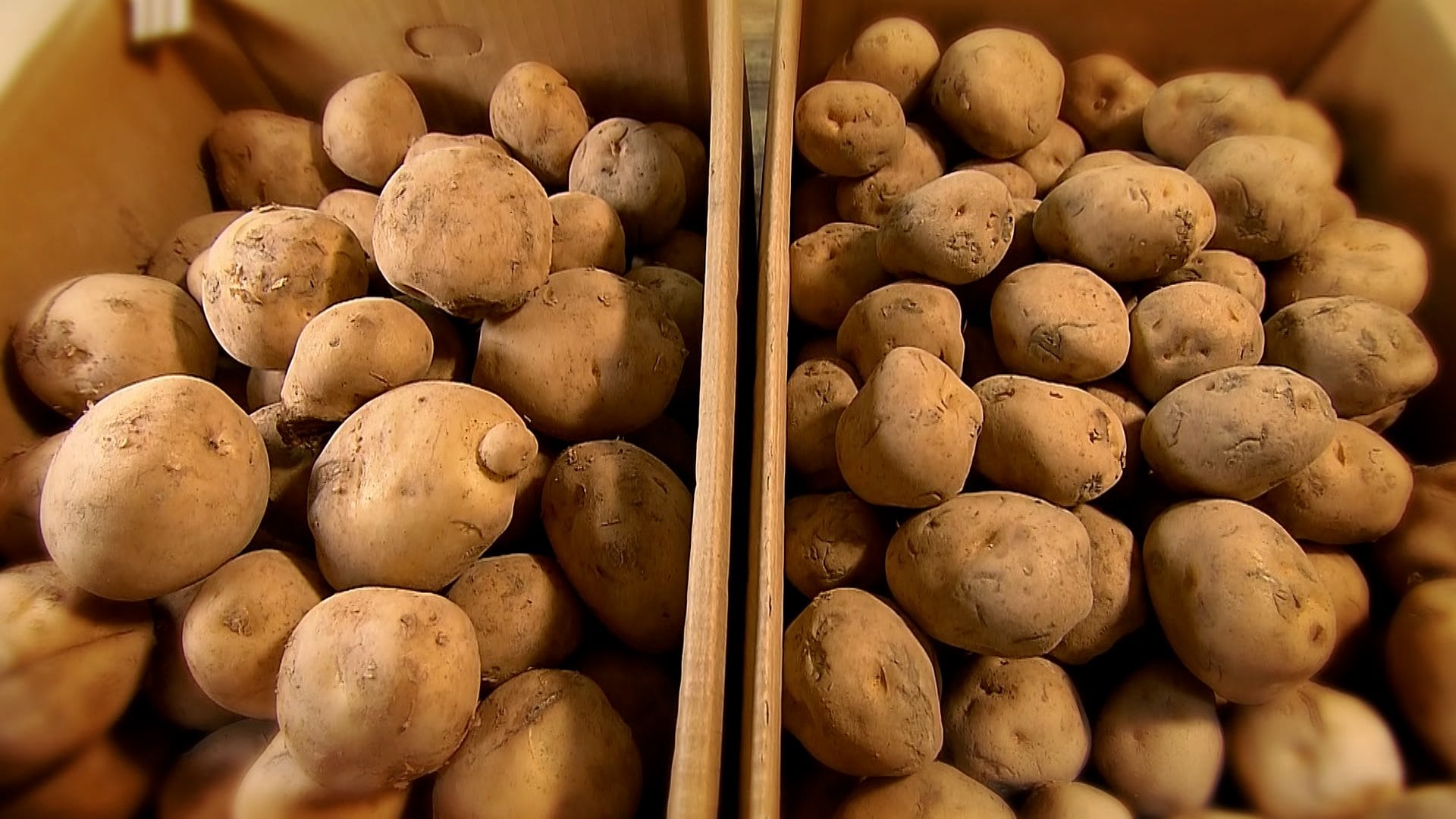 ジャガイモ高騰…ステーキ店は仕入れ値2割増も「フライドポテト食べ放題やめない」  ポテトチップスやコロッケにも値上げの波（FNNプライムオンライン）｜ｄメニューニュース（NTTドコモ）